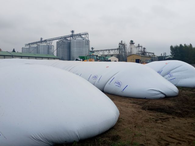 Przechowywanie kukurydzy, magazynowanie zbóż, Warmińsko - mazurskie